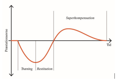 DOMS (delayed onset muscle soreness)