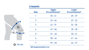 GenuTrainA3 measuring chart en 5c1c4ed6 ae81 4a42 a921 93dd0d6f633d